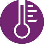 Ehrlichia Rapid Test